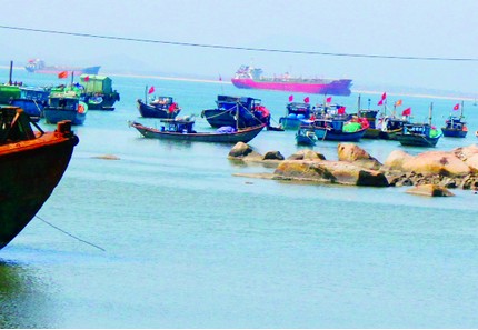 Trung bình mỗi con tôm có giá bán 250.000 - 270.000 đồng
