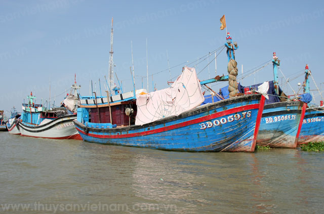 tàu cá bình định tham gia tổ, đội khai thác trên biển tàu cá bình định tham gia tổ, đội khai thác trên biển