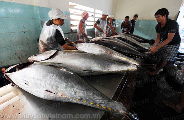 bình định lợi nhuận chuyến biển đạt thấp