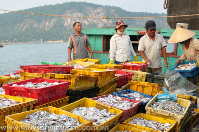 nghệ an sản lượng khai thác tăng nhẹ