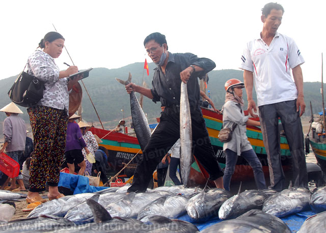 trúng đậm hải sản