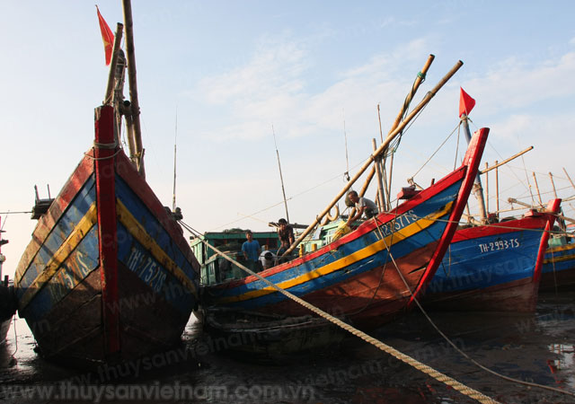 tàu cá thanh hóa
