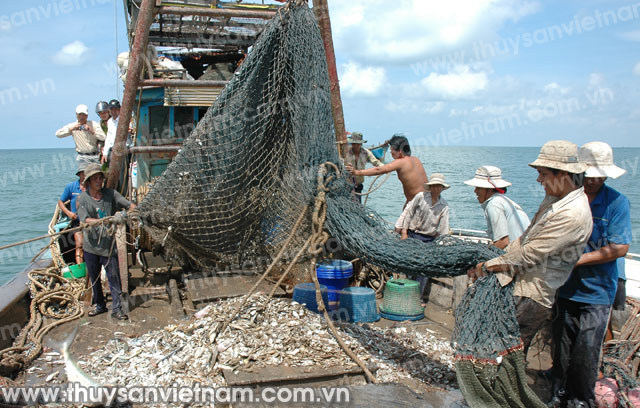 Quảng Trị nỗ lực hướng nghiệp và dạy nghề cho ngư dân