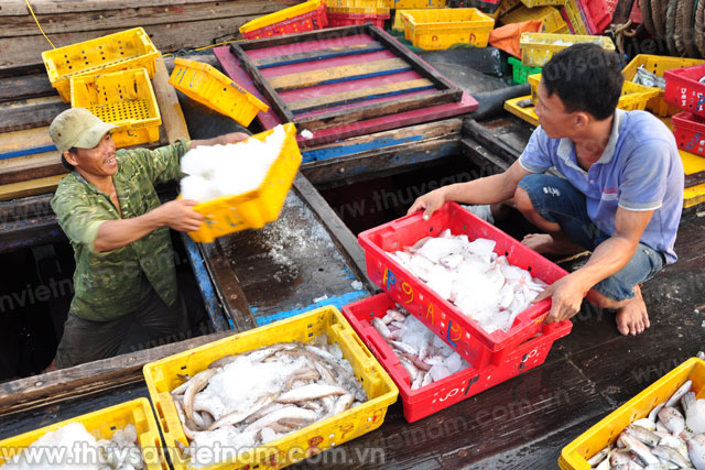 nghệ an thu hàng trăm triệu đồng sau 3 - 4 ngày ra khơi