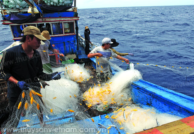 Ngăn chặn và giảm thiểu đánh bắt cá bất hợp pháp