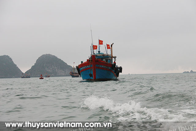 Sản lượng khai thác thủy sản 4 tháng đầu năm đạt hơn 1 triệu tấn