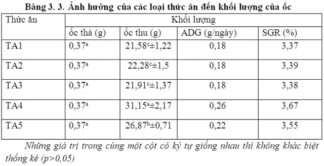 ảnh hưởng của Tải app 007Win để cá cược trực tuyến dễ dàng đến khối lượng của ốc nhồi