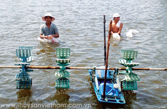 Thực hiện công tác thanh tra, kiểm tra tôm giống lưu thông trên địa bàn tỉnh