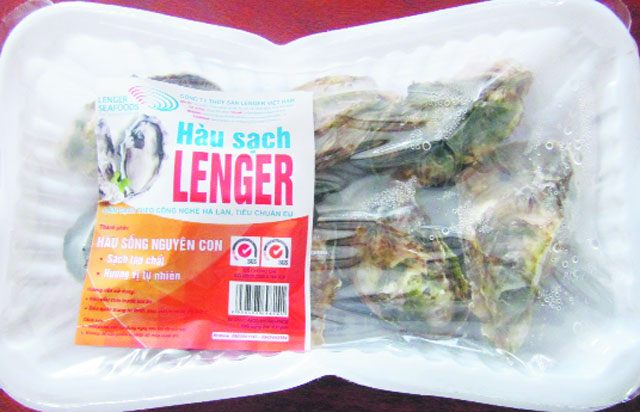 hàu sạch lenger