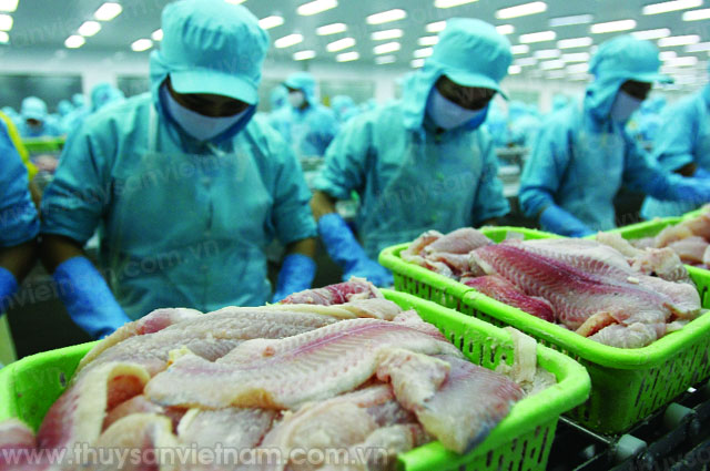 kim ngạch xuất khẩu cá tra đạt trên 650 triệu USD