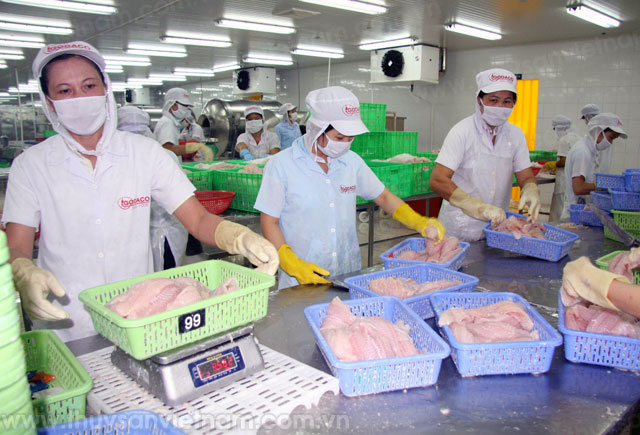 xuất khẩu cá tra trung quốc tăng trưởng dương