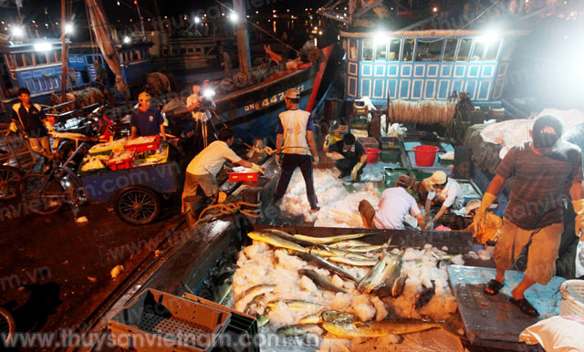 cảng cá thọ quang đà nẵng