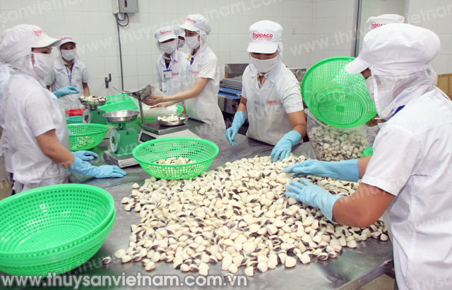 xuất khẩu nhuyễn thể hai mảnh vỏ