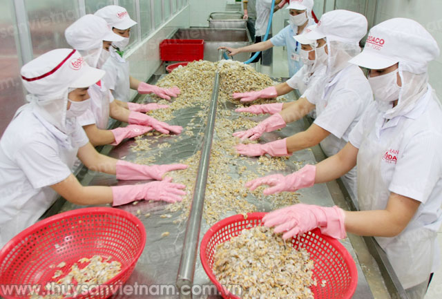 chế biến nhuyễn thế xuất khẩu