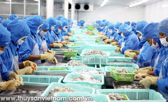 xuất khẩu tôm lạc quan xuất khẩu tôm lạc quan