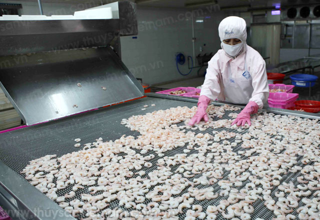 chế biến tôm xuất khẩu