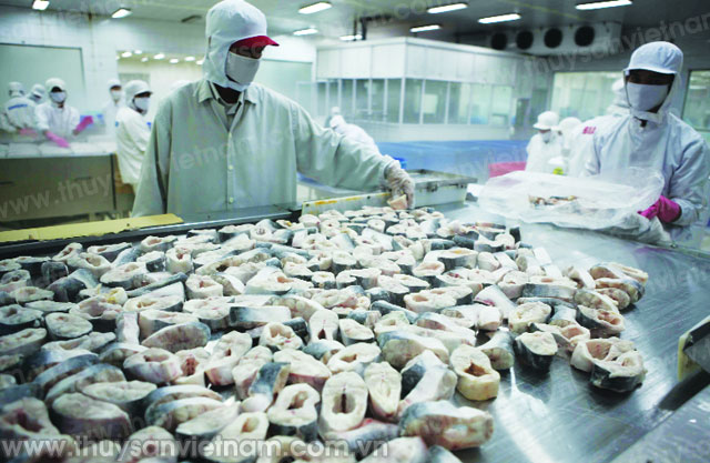 phát triển bền vững cá tra trước hội nhập phát triển bền vững cá tra trước hội nhập