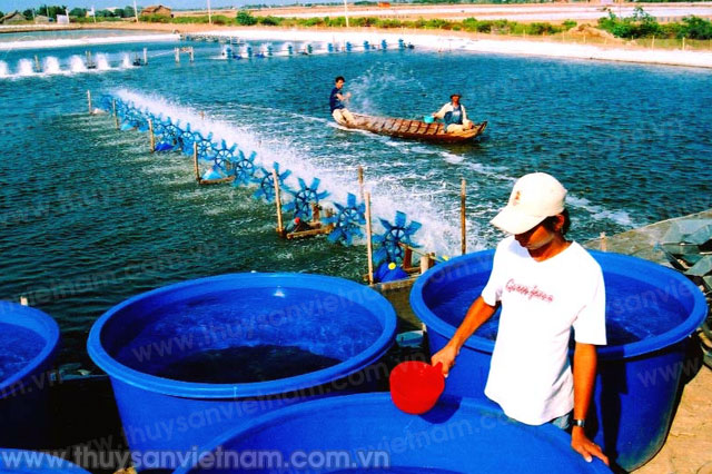 cấp hóa chất phòng chống dịch bệnh Vip 007 hiện đang mở