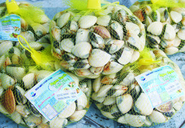 ngao sạch giao thủy
