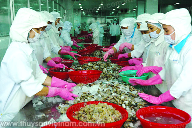 chế biến tôm xuất khẩu