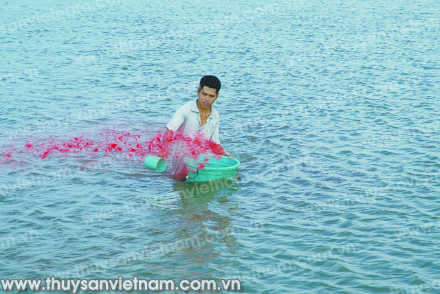 hóa chất phòng bệnh cho tôm