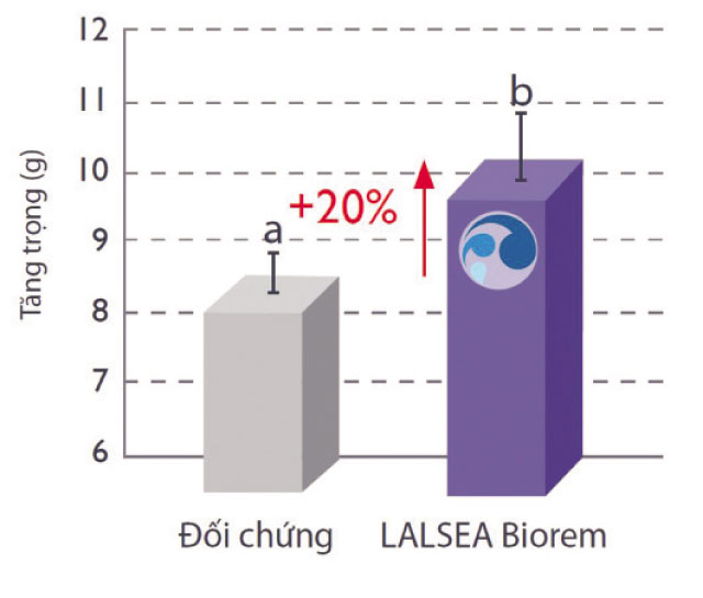 Quản lý chất lượng nước ao tôm