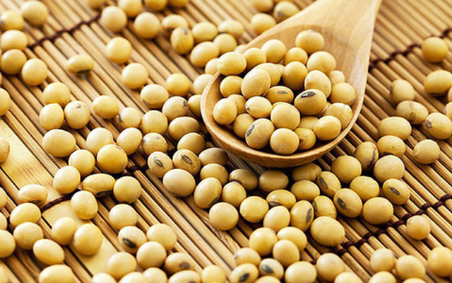 Giảm tác động bất lợi của khẩu phần ăn giàu đạm thực vật