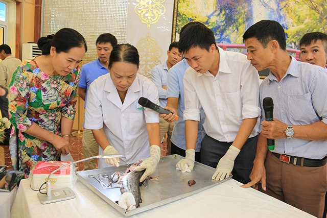 Sản phẩm cá lồng hướng đến OCOP
