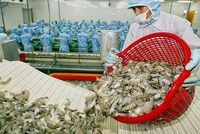 Thị trường tôm cuối năm chưa thể tăng tốc