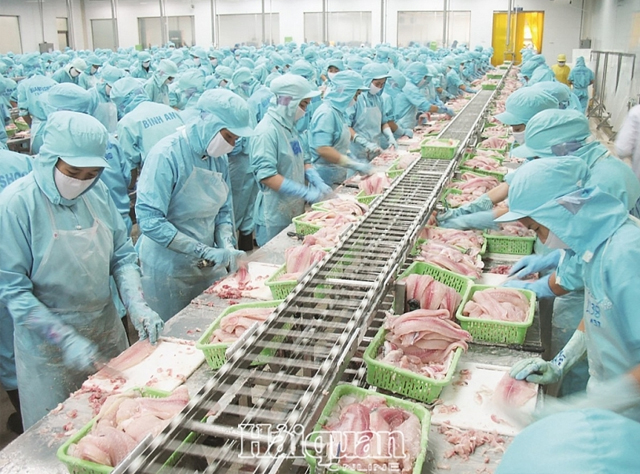 Xuất khẩu cá tra