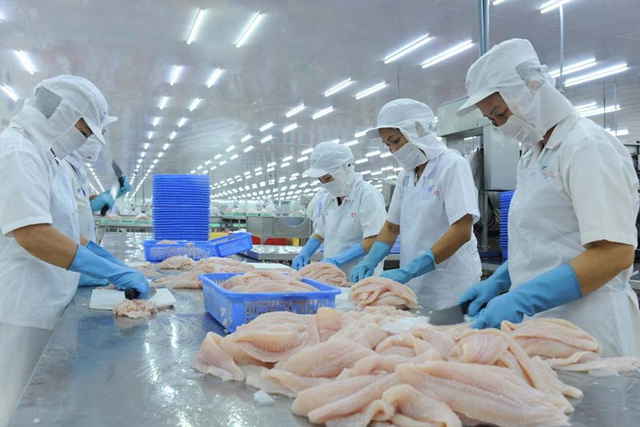 Cá tra Việt lại lo tắc đường sang Trung Quốc