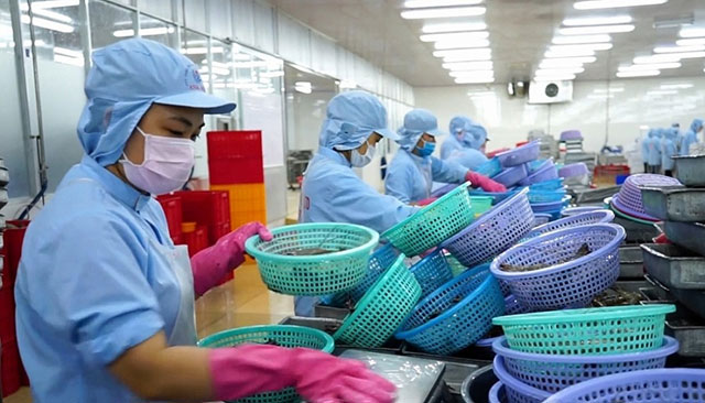 giá tôm nguyên liệu năm 2021