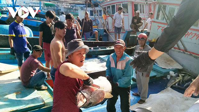 đánh bắt cá ngừ
