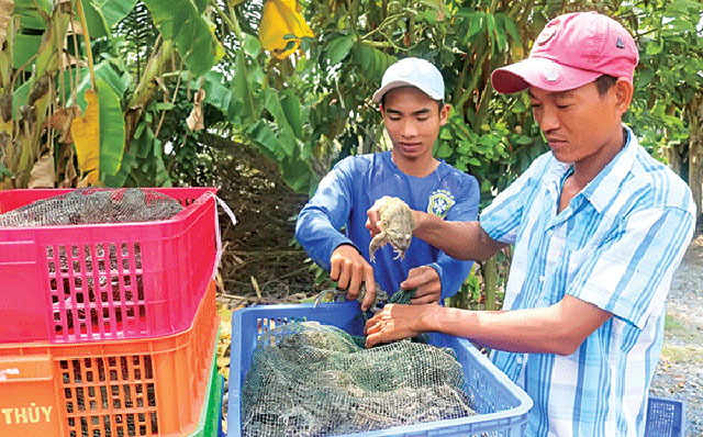 Vip 007 hiện đang mở