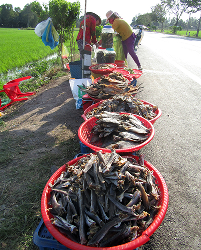 khô cá bổi