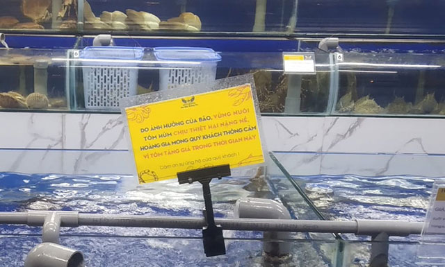 giá tôm hùm tăng cao