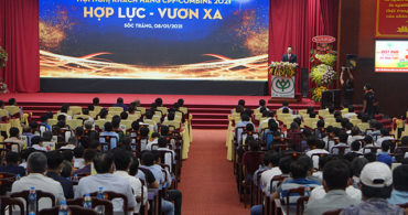 Hợp lực - Vươn xa