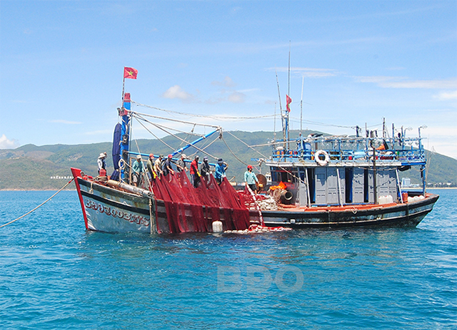 thiếu lao động đi biển
