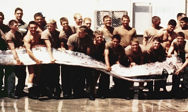 Cá oarfish
