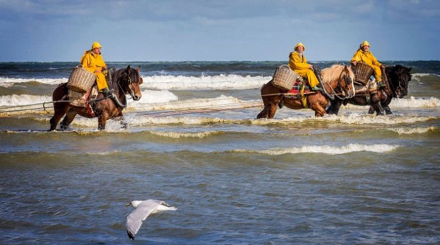Oostduinkerke