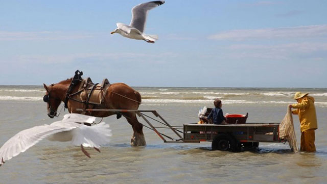 Oostduinkerke