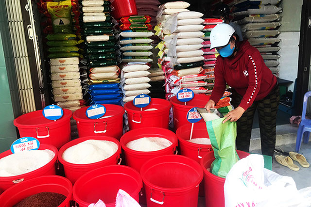 giá lúa gạo