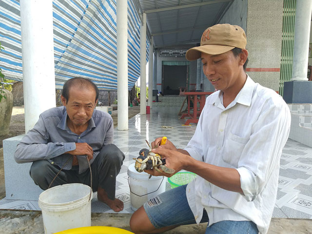 cua gạch cà mau