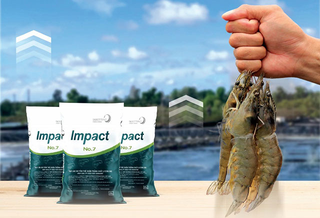 impact
