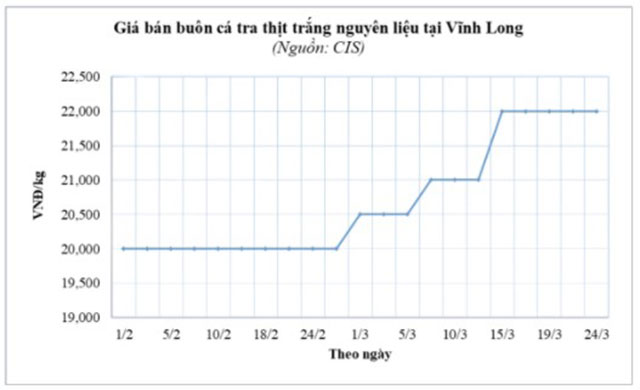 giá bán buôn cá tra