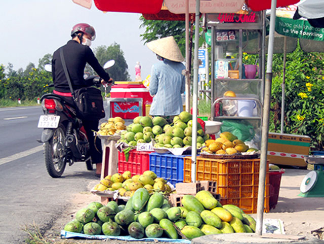 xoài cát lộc