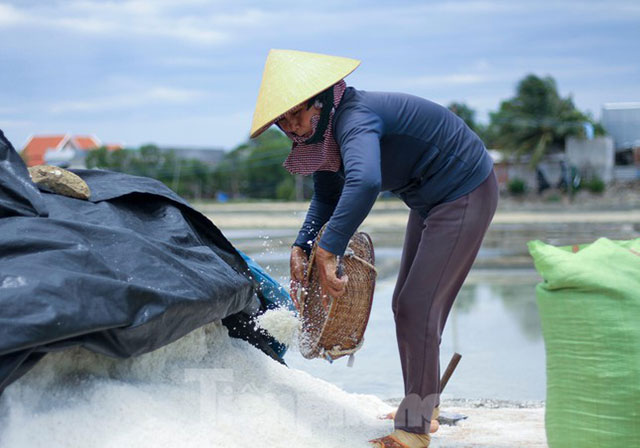 nghề làm muối