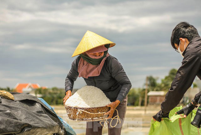 nghề làm muối