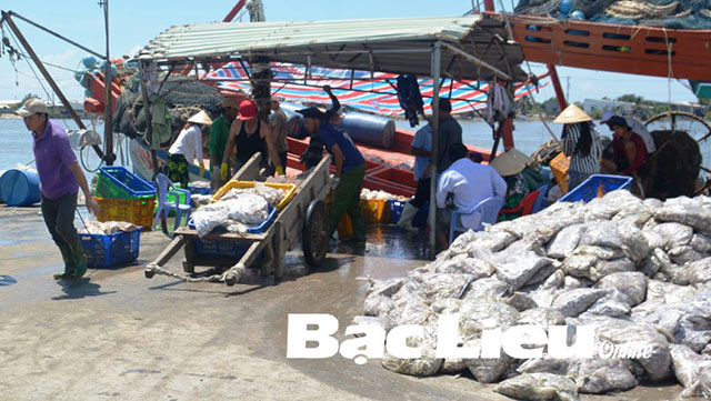 hải sản bạc liêu