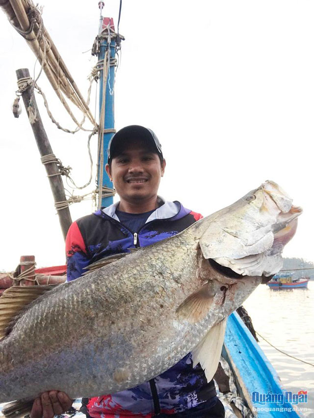 cá chẽm khủng